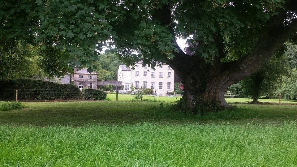 Clonacody House Hostal Clonmel Exterior foto